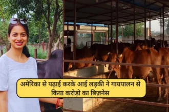 Desi Cow Dairy Farm