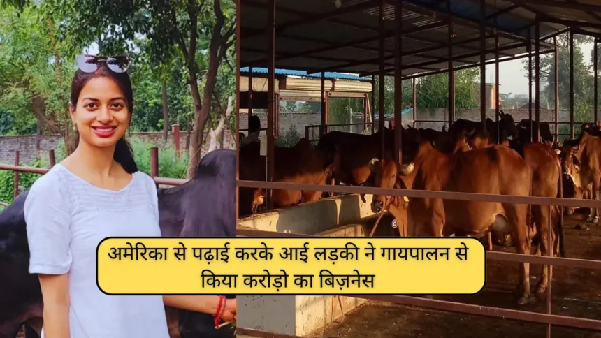 Desi Cow Dairy Farm